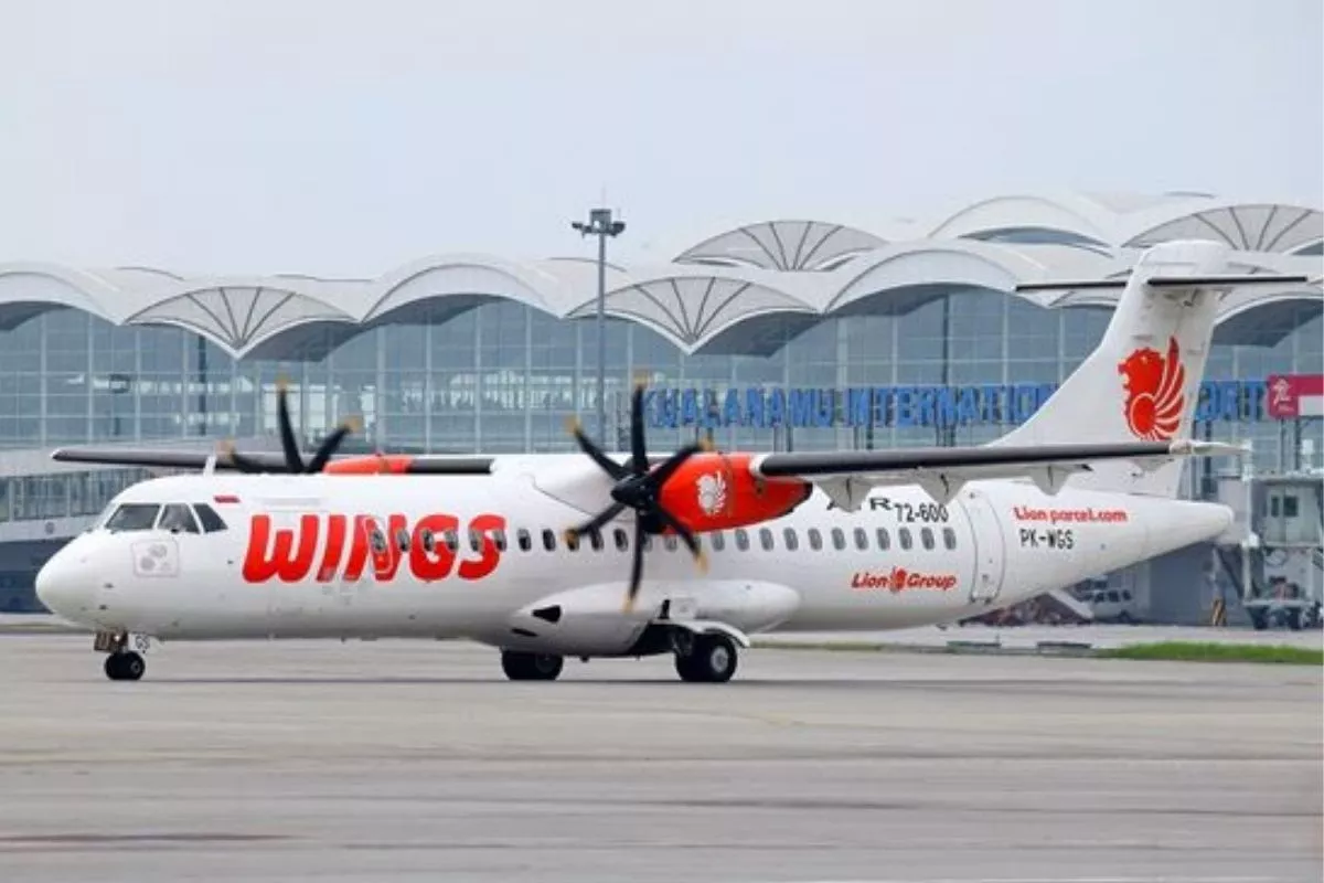 Potensi 209 Rute Penerbangan Baru di RI, Akankah Digarap Maskapai?