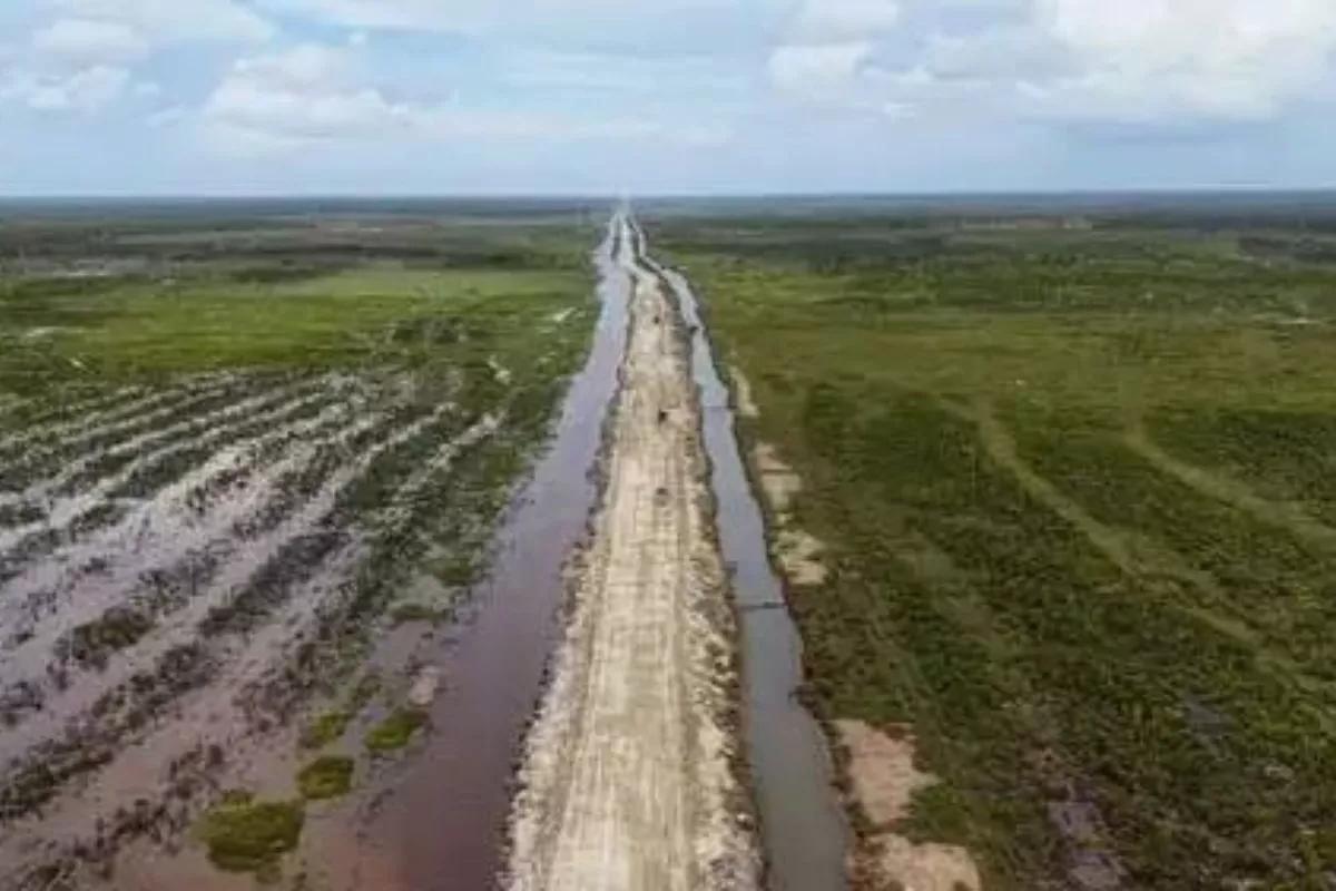 Serap Ribuan Pekerja PSN Wanam Dongkrak Ekonomi Papua Selatan