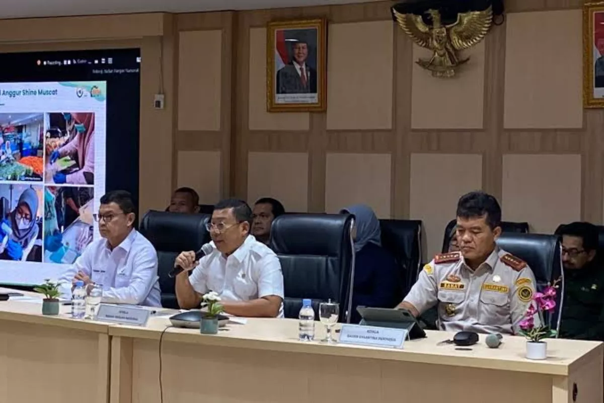 Pemerintah Percepat Penyaluran Bantuan Beras demi Jaga Inflasi
