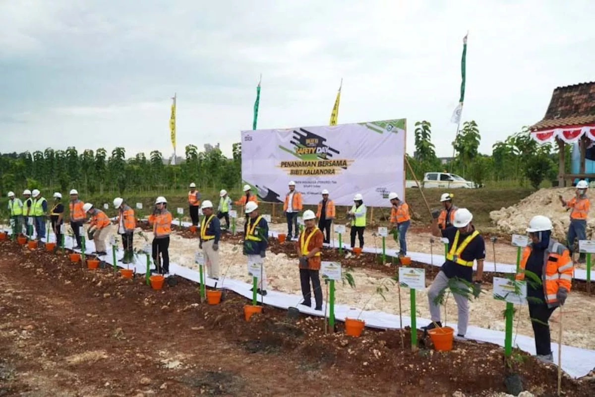 Itera dan PLN Kembangkan Kaliandra dan Sorgum untuk Energi Terbarukan