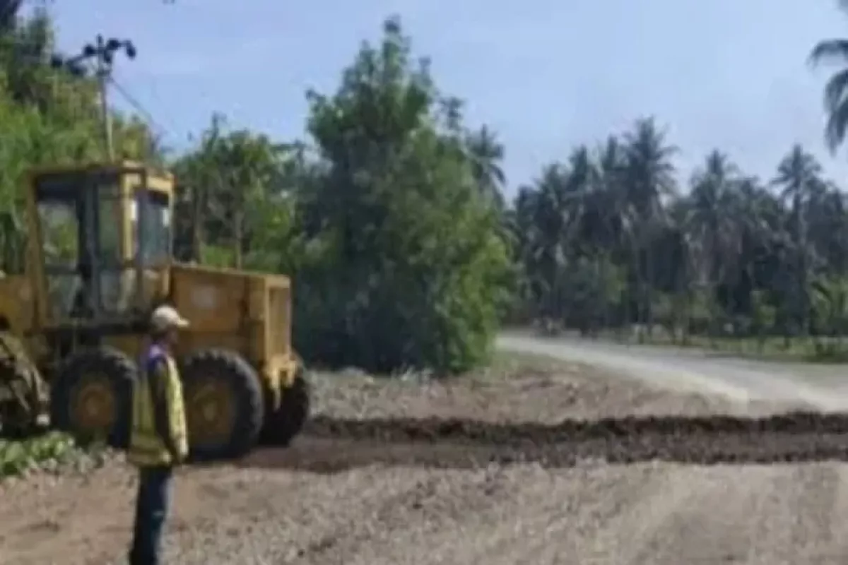 Infrastruktur Jalan Jadi Kunci Utama Distribusi Pertanian Touna