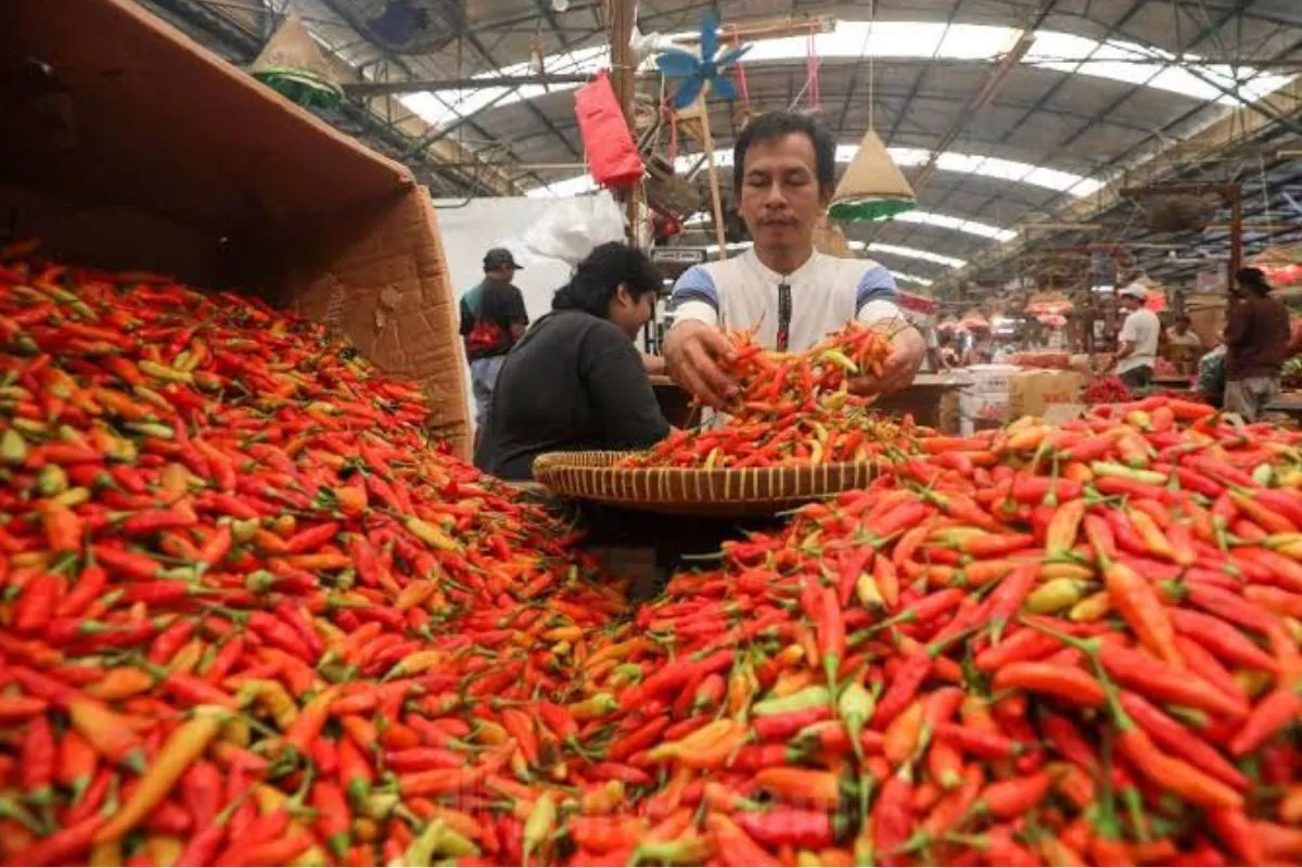 Update Harga Pangan Rabu: Komoditas Hortikultura Kembali Turun
