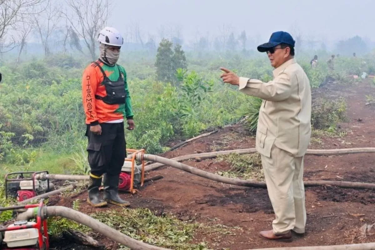 Atasi Karhutla Kalimantan, Prabowo Tambah Helikopter dan TNI