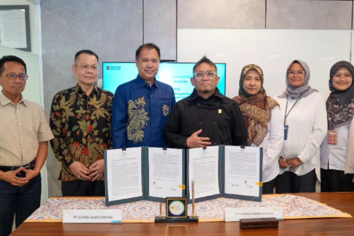 PLN EPI Gandeng Sorbu Agro Energi Kembangkan Biomassa Sorgum