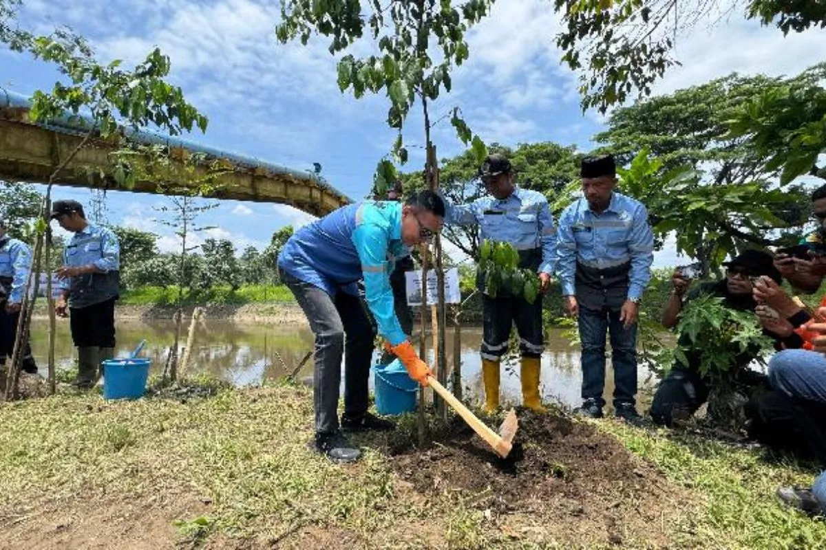 PNM Hadirkan Dampak Nyata untuk Lingkungan dan Ekonomi Pesisir