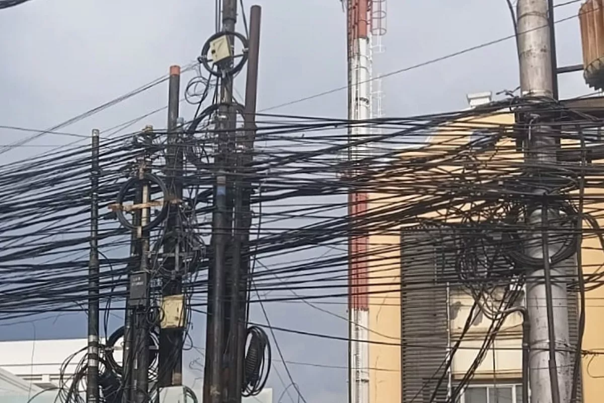 PLN EMI: Transisi Energi Buka Peluang Karier Hijau bagi Generasi Muda