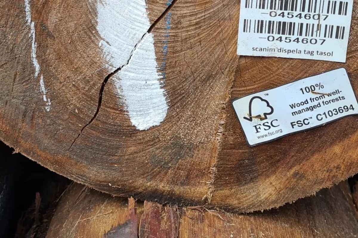 FSC Kembangkan Standar Sertifikasi Kredit Karbon, Target Berlaku 2029
