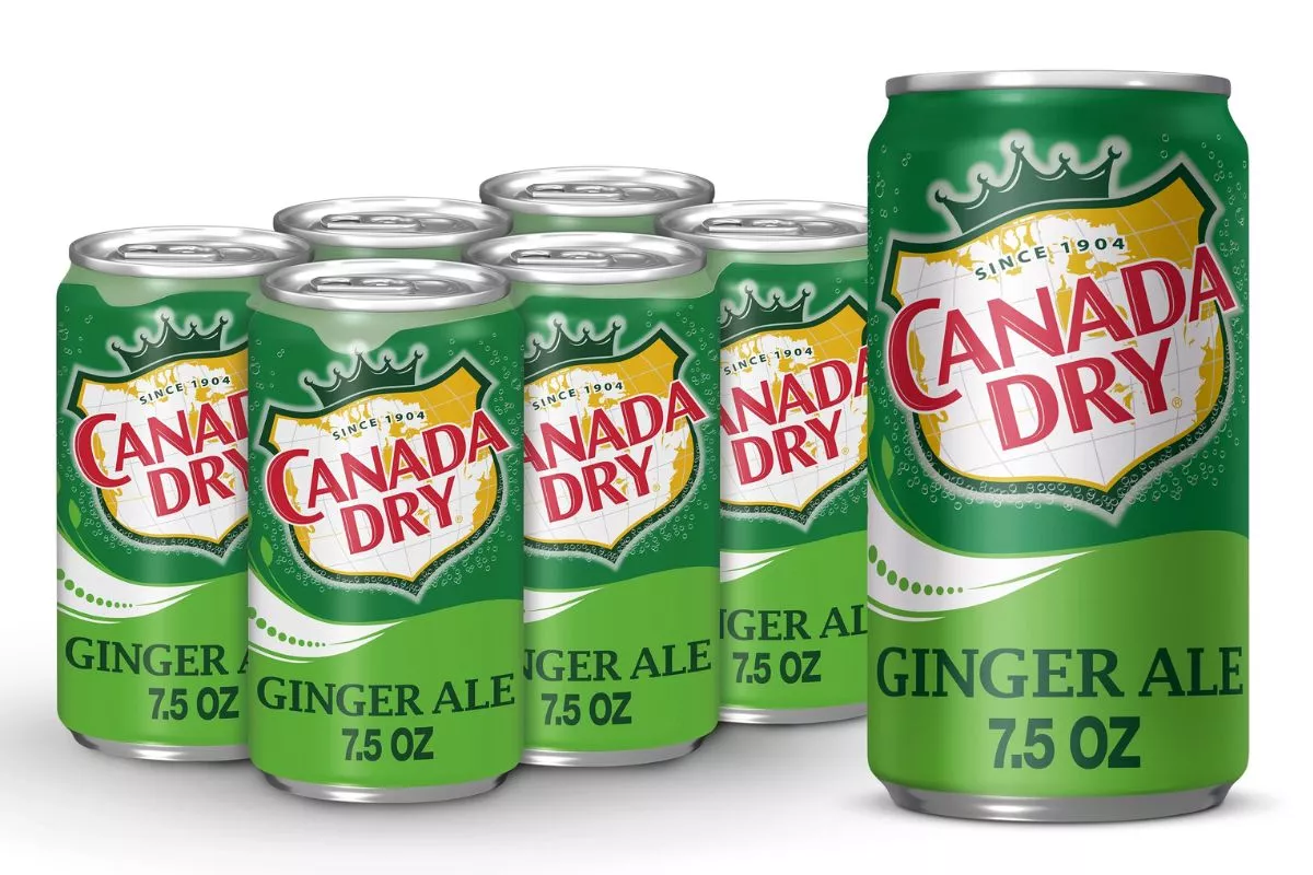 Ginger Ale: Minuman Terbaik untuk Dikonsumsi Saat Naik Pesawat