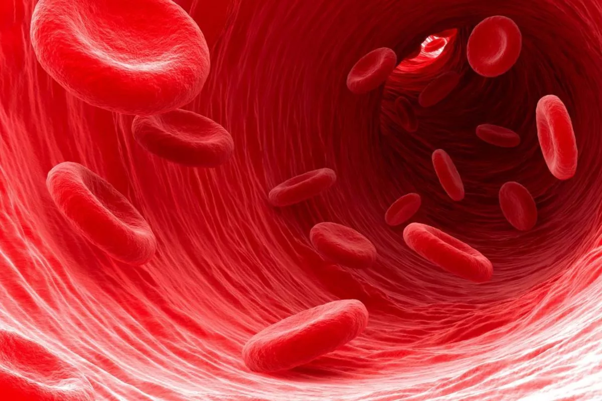 Cara Membedakan Gejala Anemia dan Darah Rendah yang Sering Keliru