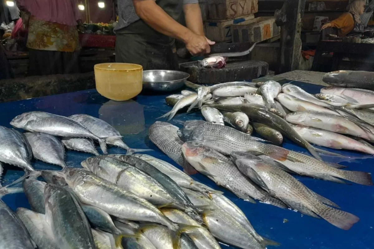 Kemarau Diwaspadai BI Balikpapan Bisa Pengaruhi Inflasi Penajam