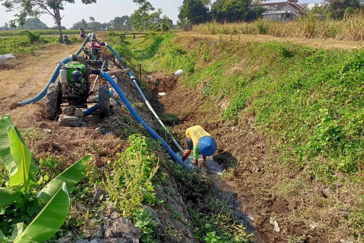 Babinsa Koramil Tempursari Lumajang Dampingi Petani Olah Lahan