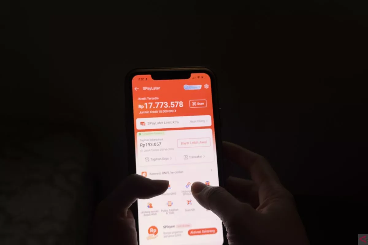 Simak Cara Menghindari Jebakan Utang Konsumtif dari Aplikasi PayLater