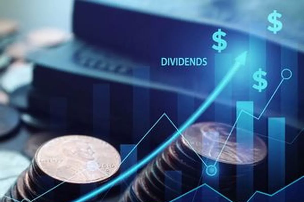 Saham RALS Tebar Dividen Yield 11 Persen Cek Jadwal Pembayarannya