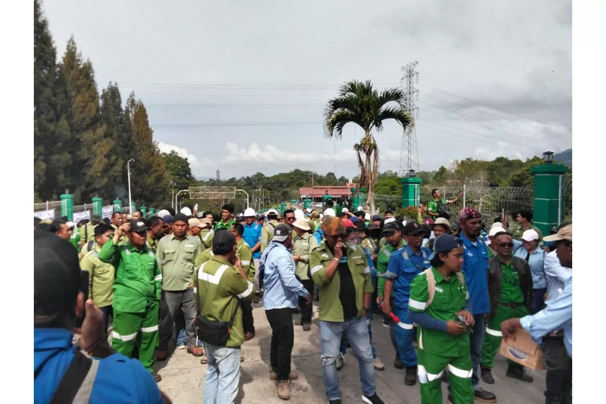 Toba Pulp Inru PHK Massal Karyawan Usai Izin Konsesi Dicabut