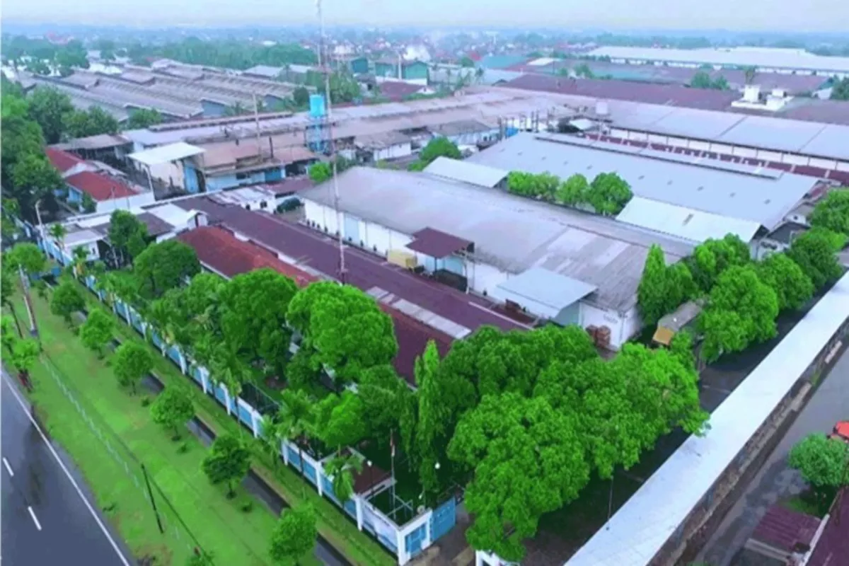 Panca Budi PBID Bagi Dividen Rp397,50 Miliar Setara Rp53 per Saham