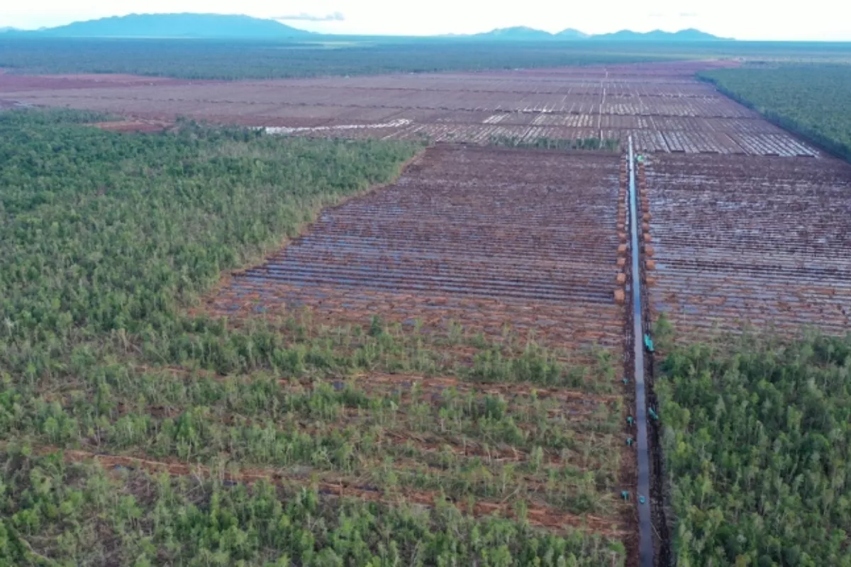 Hentikan Proyek Karbon Danone di Aceh, Koalisi Sipil Bergerak