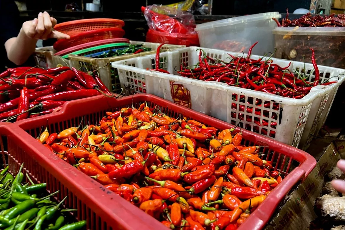 Data Sigapura Catat Harga Cabai Rawit di Bali Rp53.000 per Kg