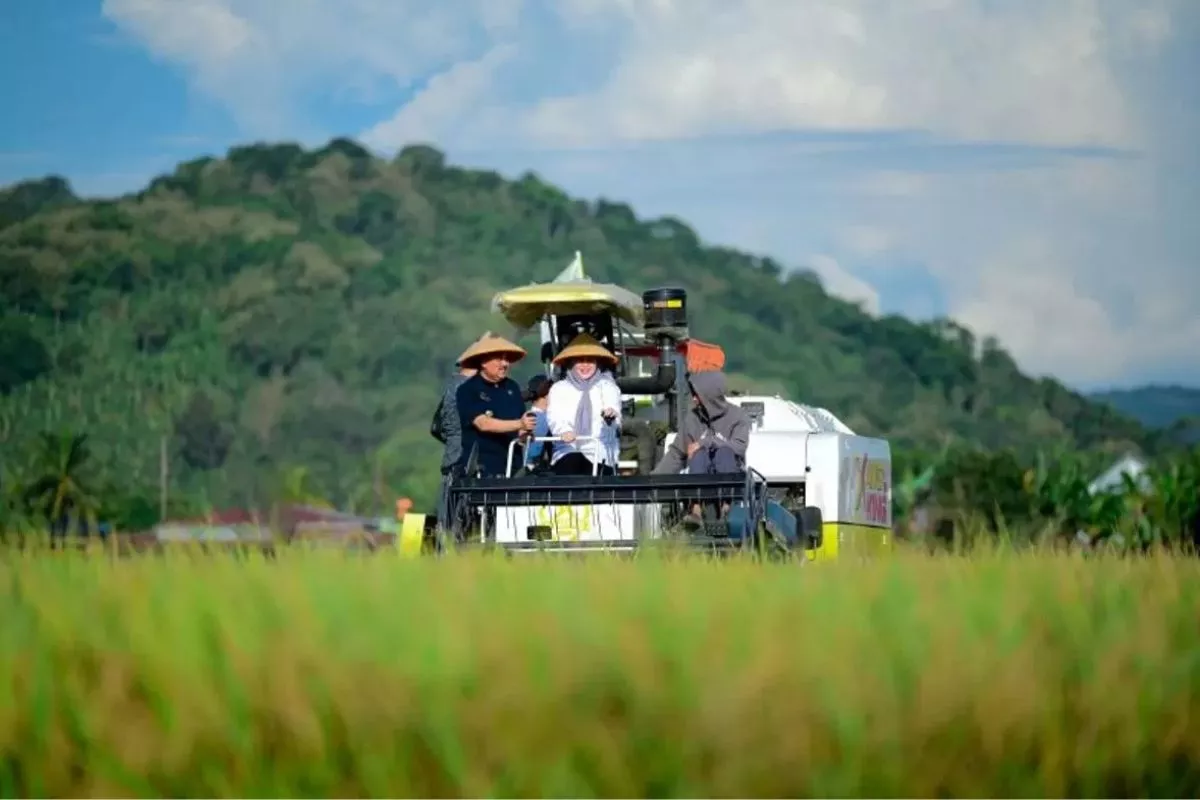 BPS: Kesejahteraan Petani Sulsel Naik Berkat Hortikultura