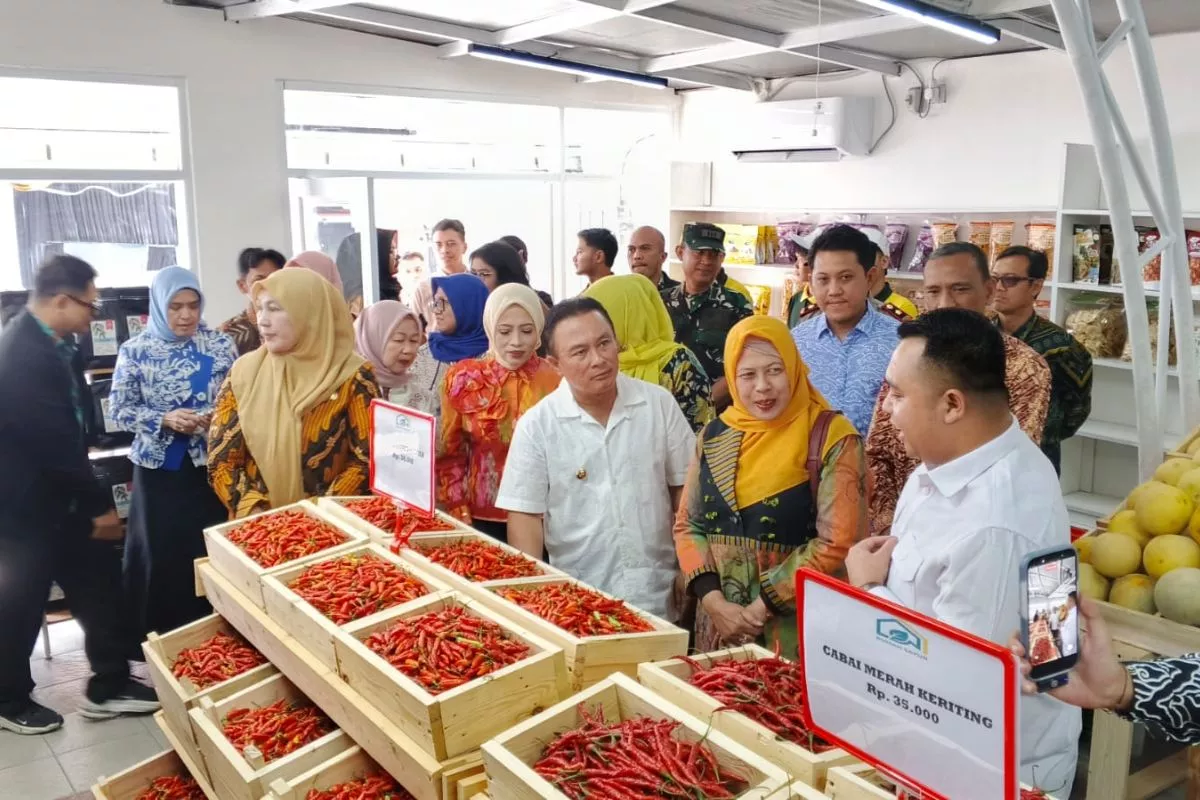 Rumah Sayur Hadir di Kuningan, Targetkan Serapan Panen 20 Ton Sehari