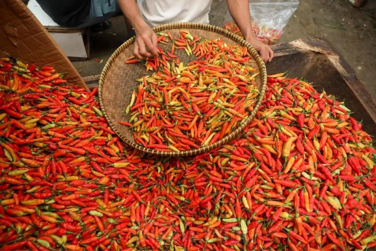 Harga Pangan Akhir Pekan Ini Fluktuatif, Cabai Rawit Merah Tembus Rp62.000