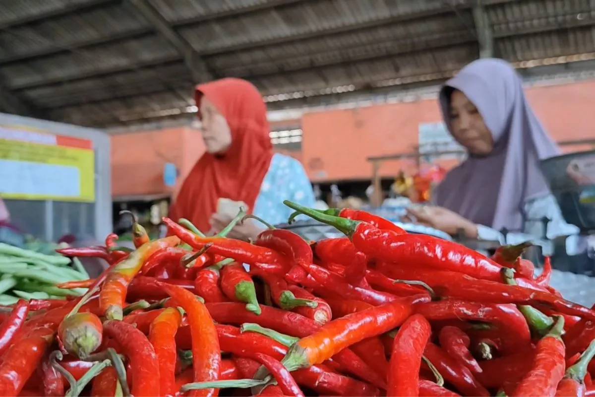 PIHPS: Harga Cabai Rawit Rp63.150 dan Telur Ayam Rp31.950 per Kg