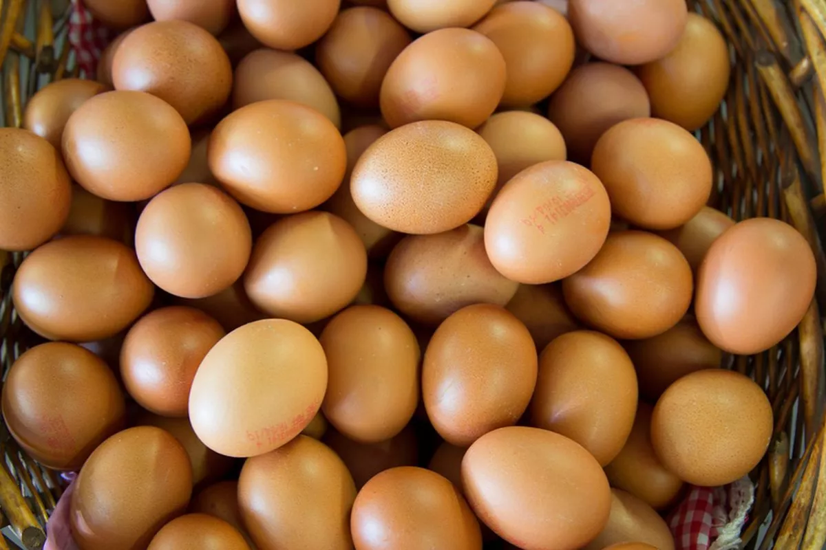 Harga Telur Rp26 Ribu per Kg, Mendag Minta Penyerapan Ditingkatkan