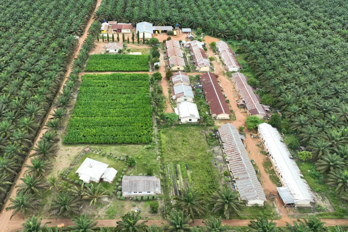 Dampak Besar AEP Akuisisi PSGO Rp2,8 Triliun Bagi Pemegang Saham 