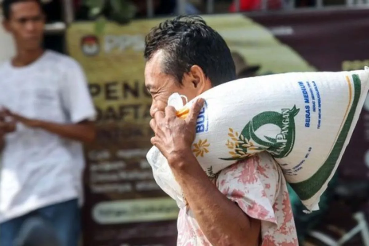 Capai 3,4 Juta Ton, Serapan Beras Perum Bulog Tembus 80 Persen