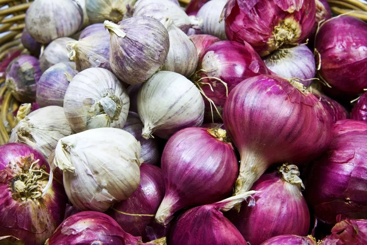 Daftar Harga Pangan 11 Juni 2026: Bawang Merah dan Putih Kompak Naik