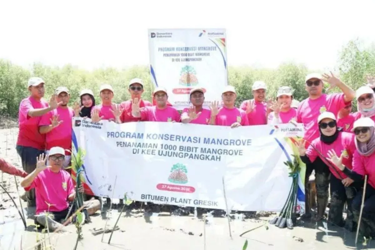 Konservasi Pesisir, Pertamina Patra Niaga Tanam 1.000 Mangrove