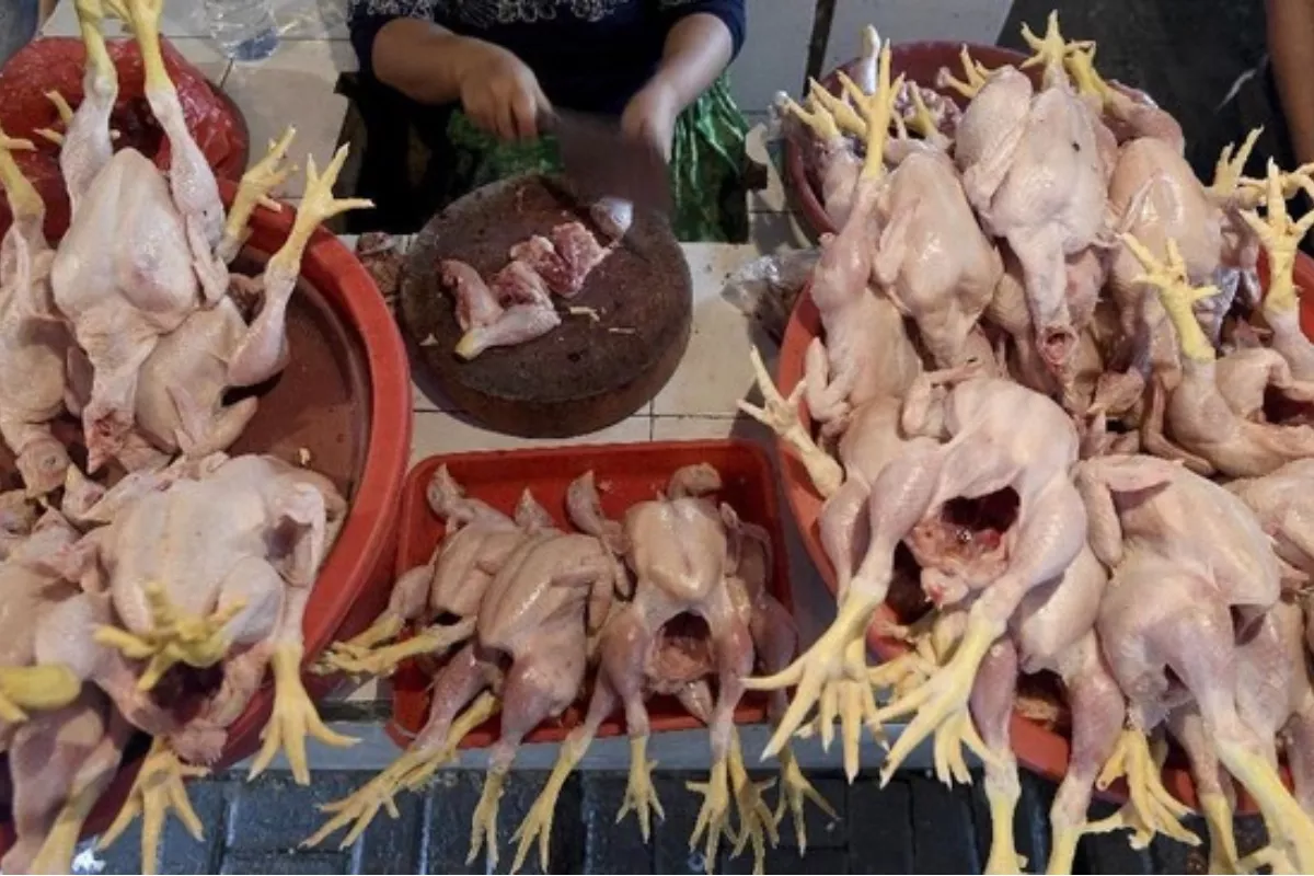 Harga Sembako Jatim 6 Juli: Cabai Rp45.459 dan Daging Ayam Rp30.458
