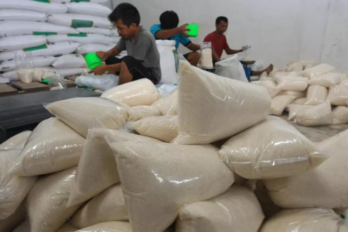 Pendapatan Naik 4 persen Aman Agrindo GULA Sukses Balikkan Rugi Jadi Laba