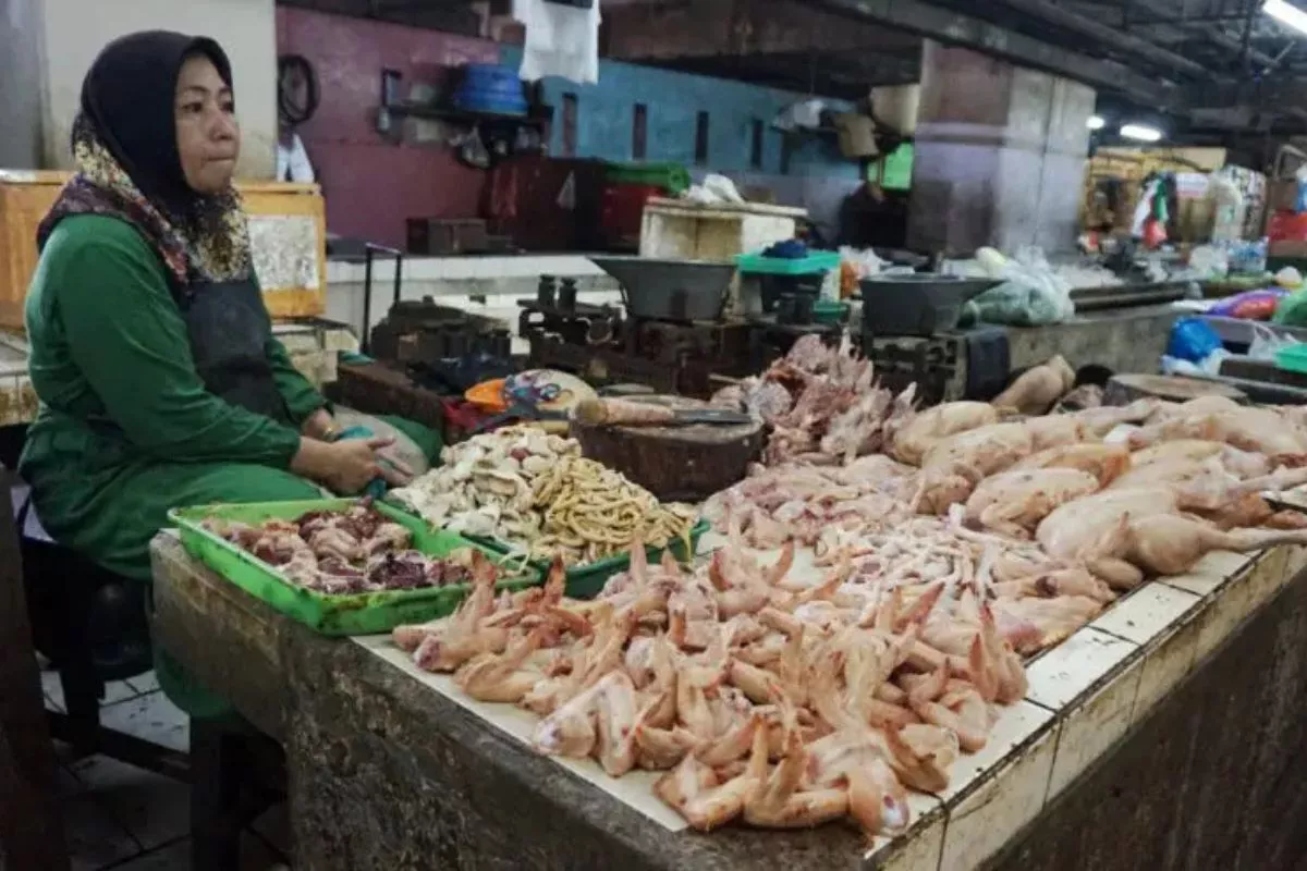 BPS Catat Harga Daging Ayam Naik di 205 Daerah, Tembus Rp40.041/Kg