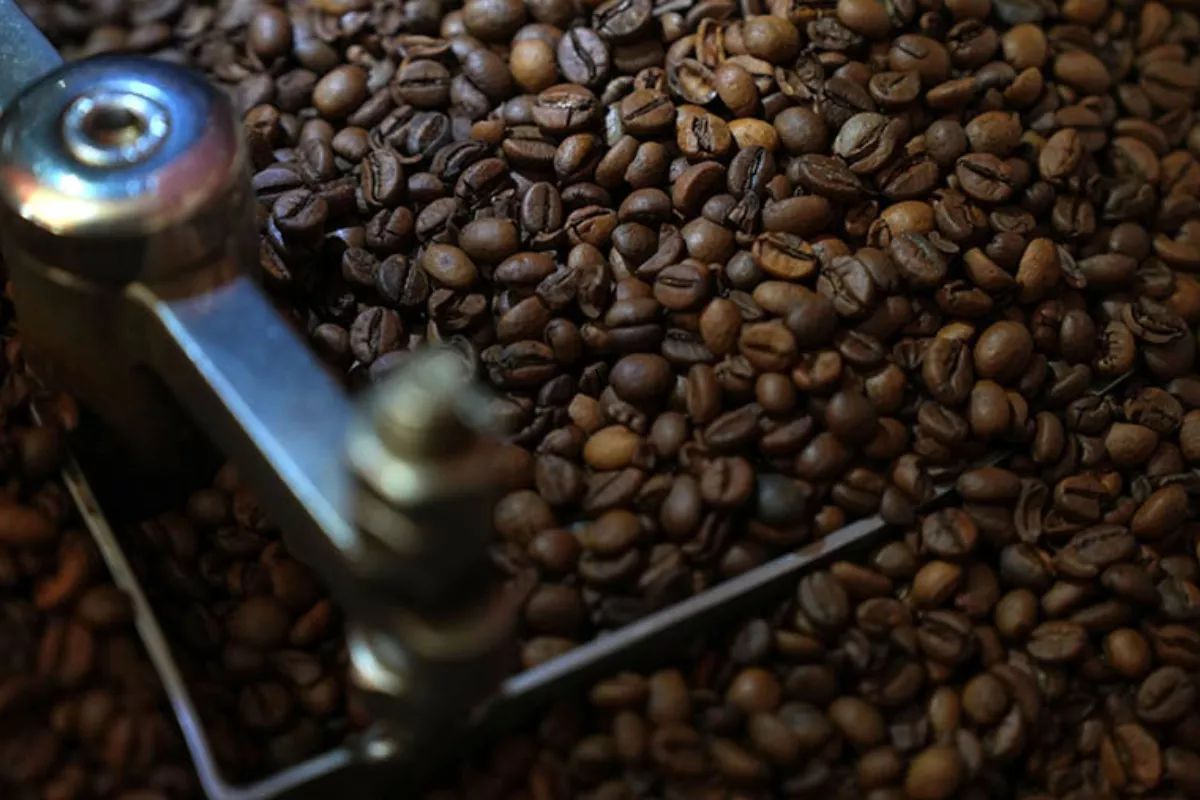 Panen di Brasil Terhambat Hujan, Harga Kopi Arabika Melonjak