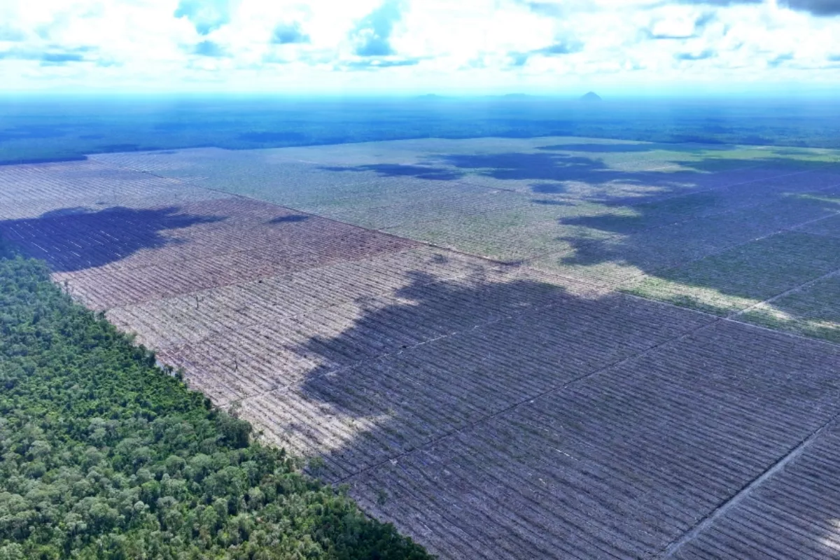 Kesenjangan Listrik: Lebih dari 500 Ribu KK Belum Terjamah Akses Energi