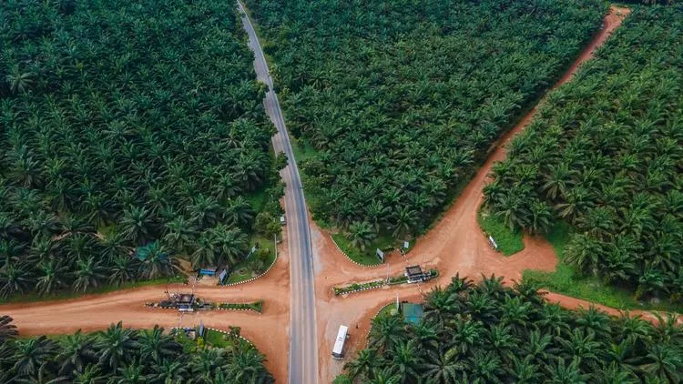 SSMS Tancap Gas 2026, Fokus Ekspansi dan Efisiensi