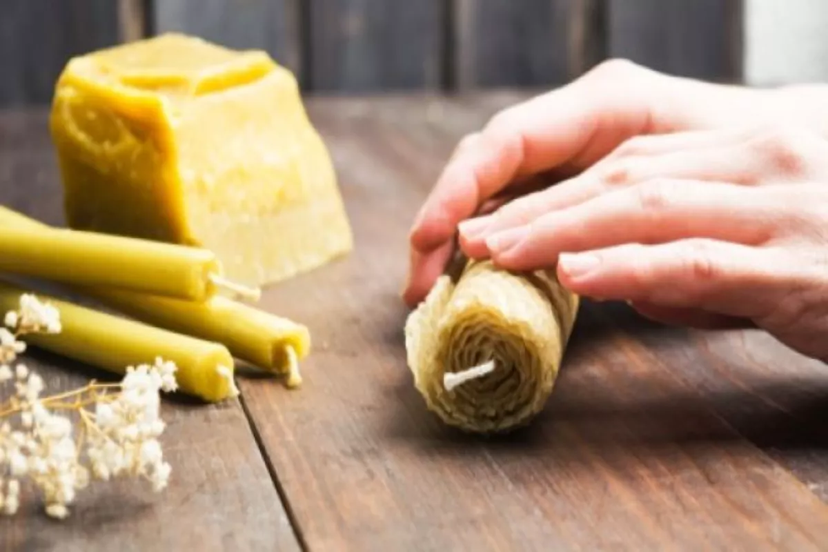 Inovasi Membuat Beeswax Food Wraps Ramah Lingkungan