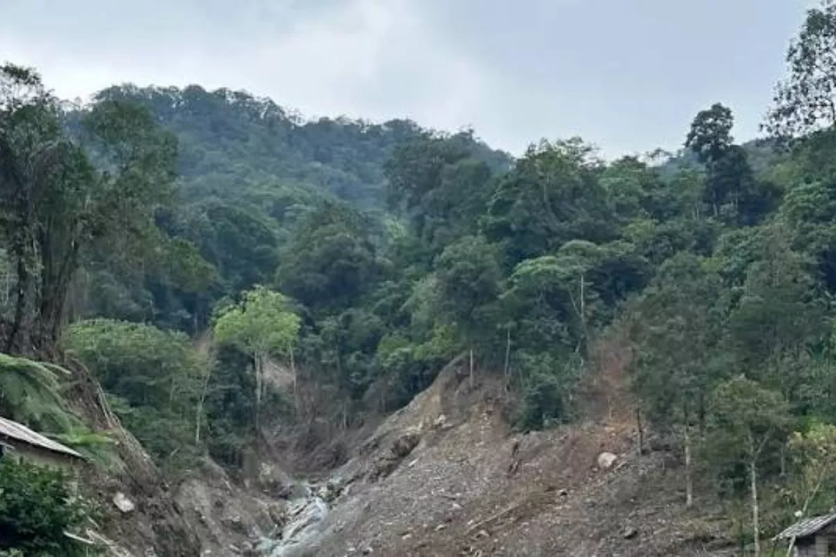 Vietnam Luncurkan Bursa Karbon, Dorong Target Emisi Nol Bersih 2050