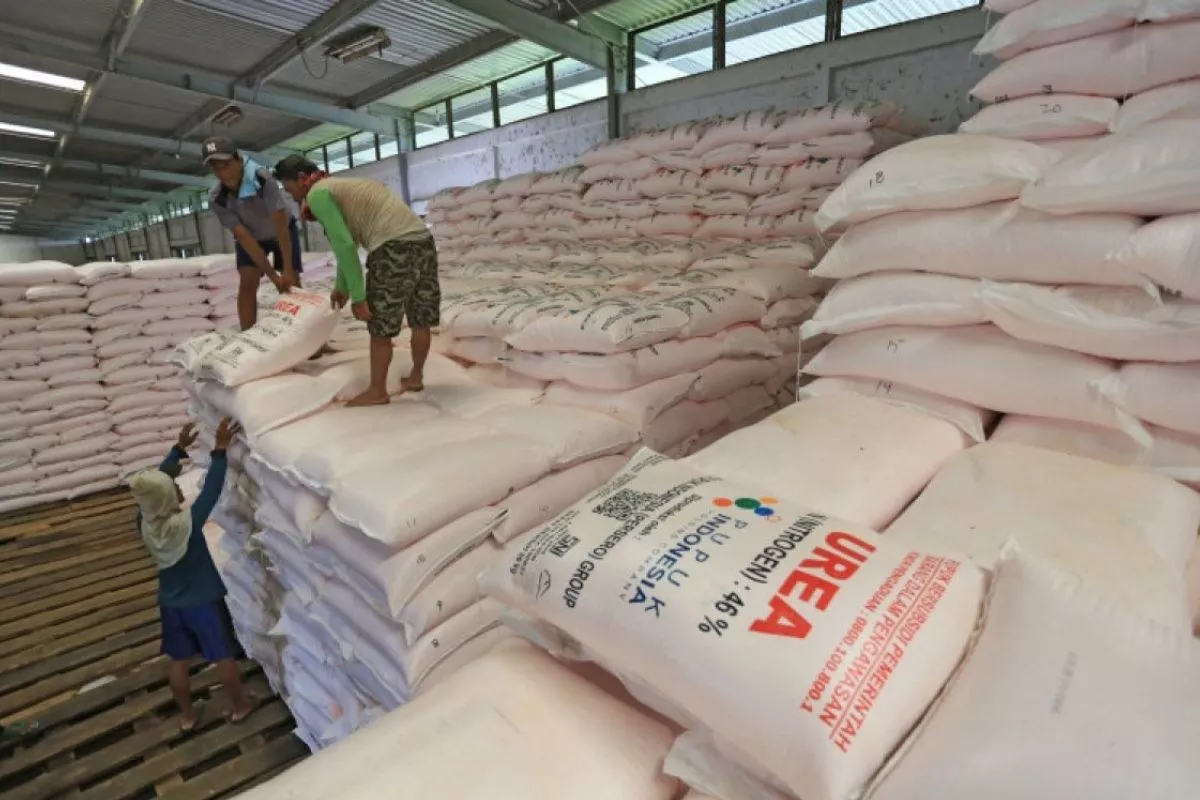 Stok Pupuk Subsidi di Karawang & Jabar Safe Masuki Musim Tanam