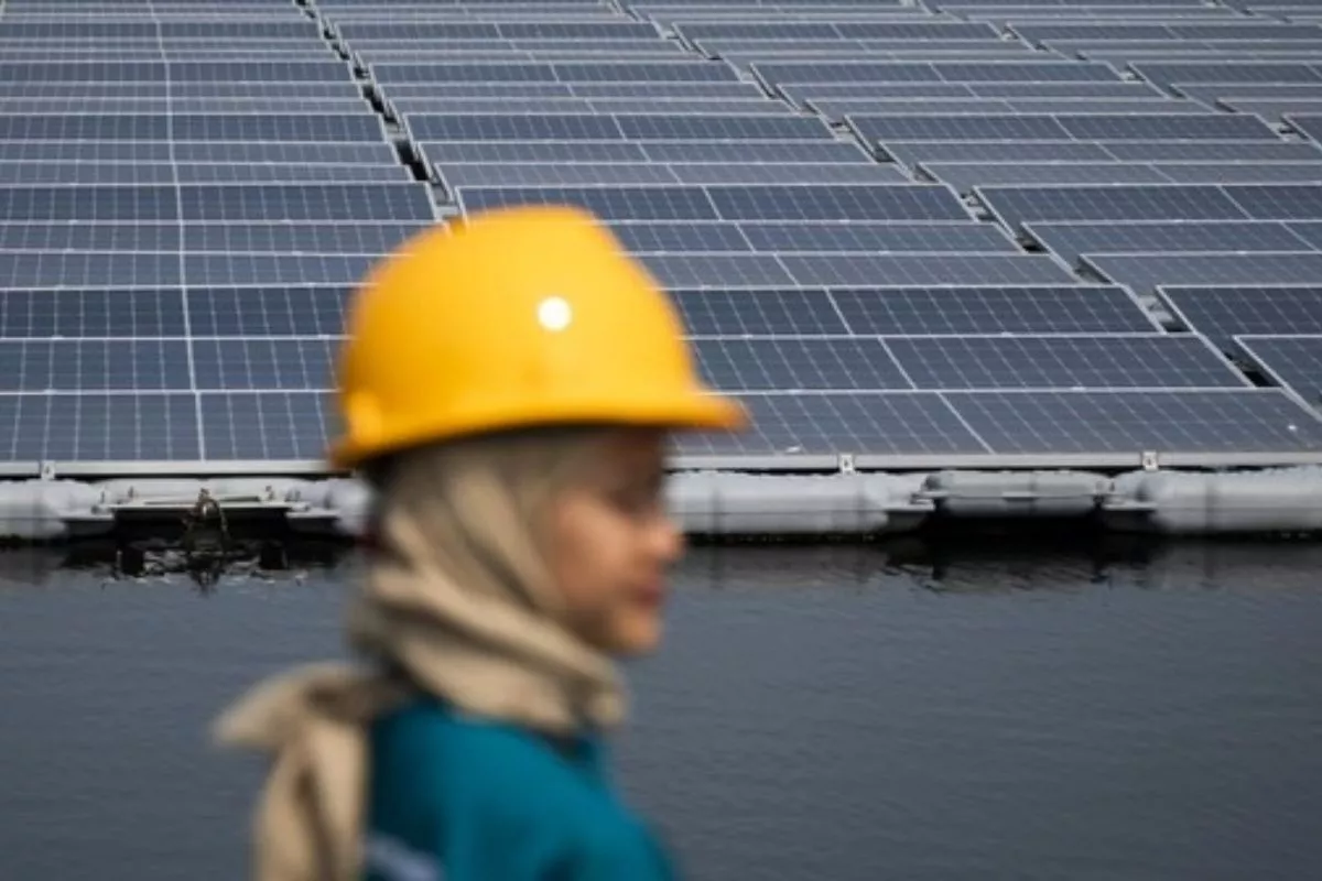 PLN IP dan DevvStream Kolaborasi Monetisasi Karbon PLTS Off-grid