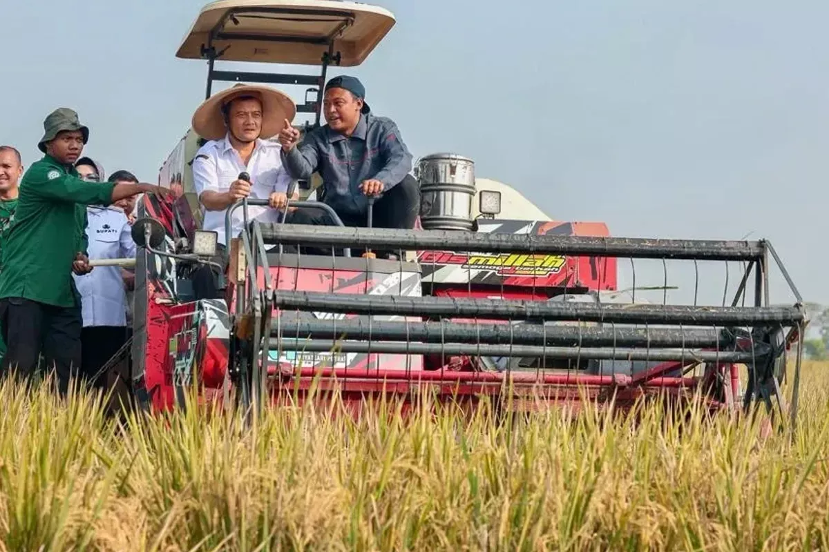 Produksi Padi Jawa Tengah Capai 6,69 Juta Ton di Juli 2026