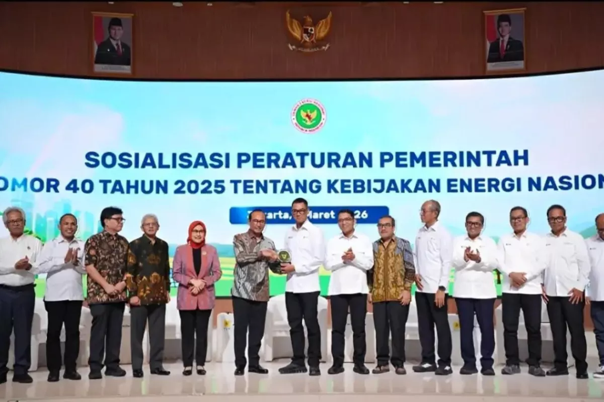 DEN Sebut Indonesia Ambil Langkah Dekarbonisasi Energi Fosil