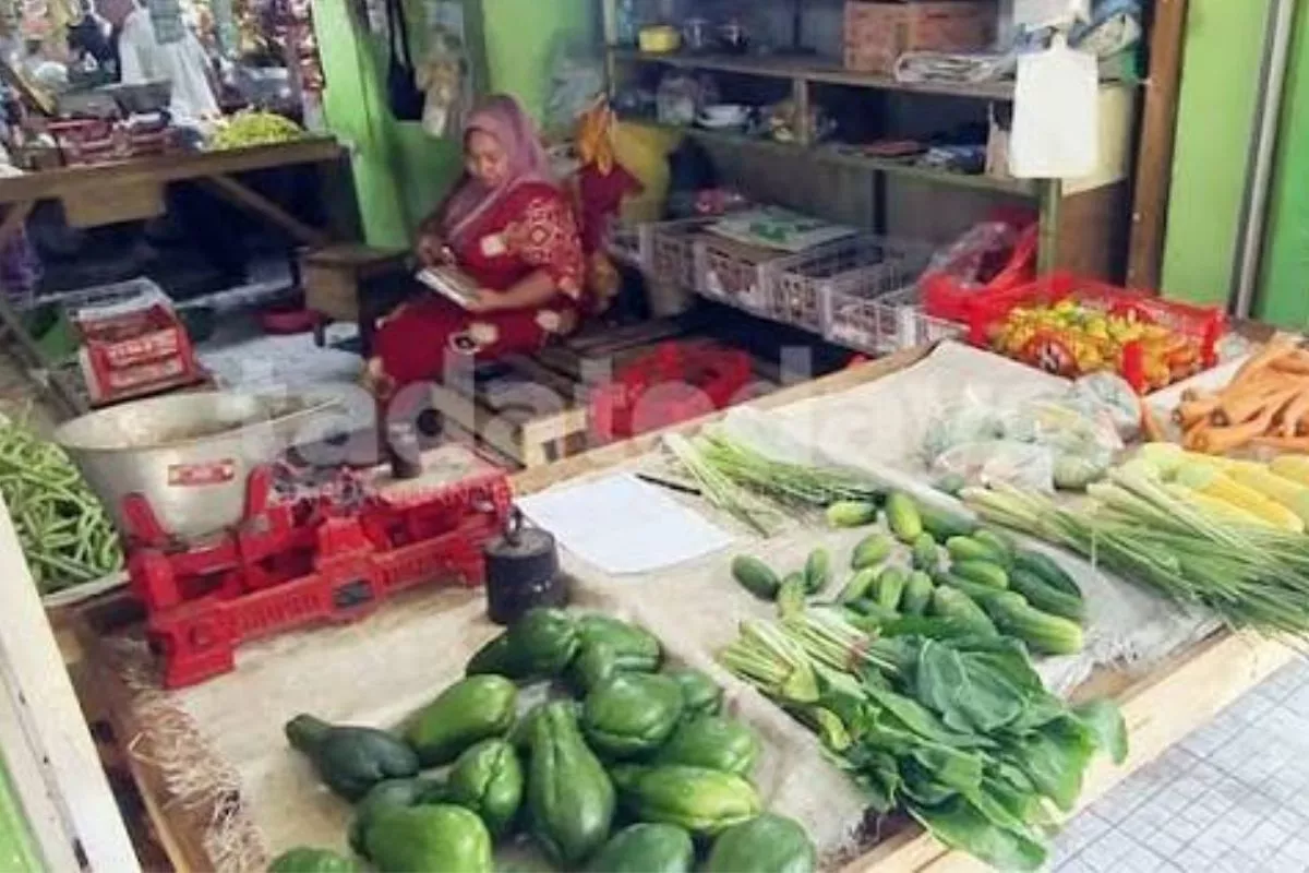 Stok Terserap Program MBG, Harga Sayuran di Pasuruan Melonjak Tinggi
