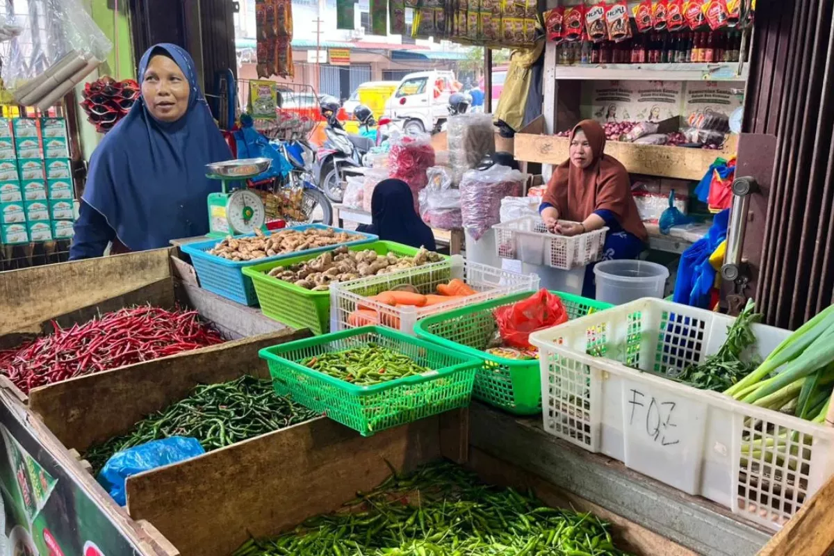 Pergerakan Harga Komoditas: Batu Bara dan Nikel Naik, CPO Turun