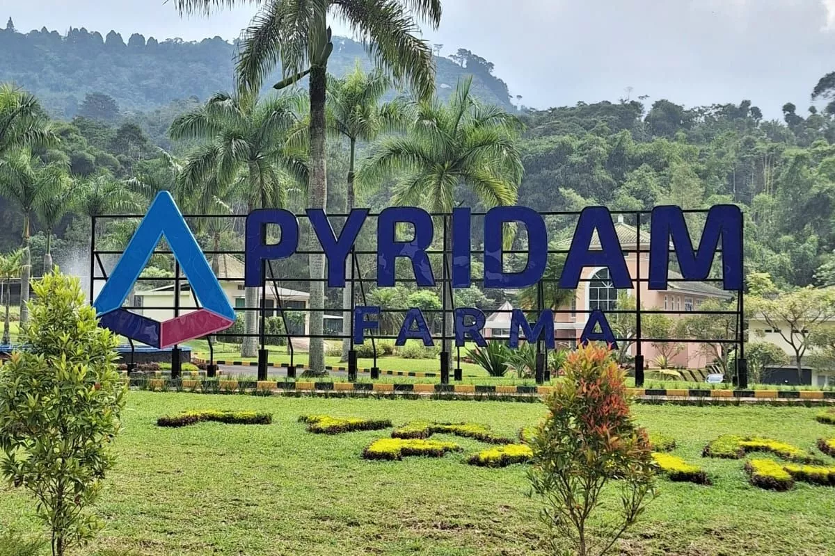 Pendapatan Pyridam Farma Naik 16,8 Persen pada Semester I 2026