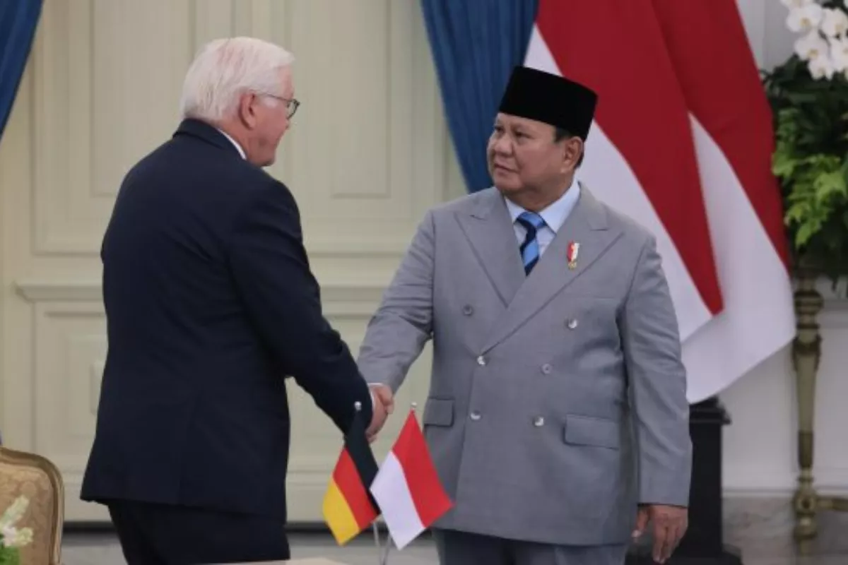 Presiden Jerman Tegaskan Komitmen Investasi Energi Bersih di RI