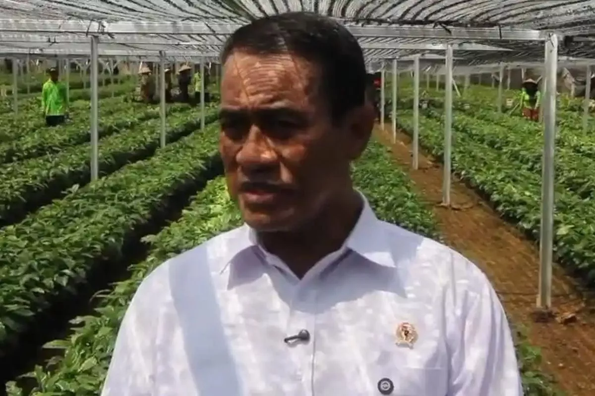 Kementan Kucurkan Rp 350 Miliar untuk Perluasan Kopi-Kakao Lampung