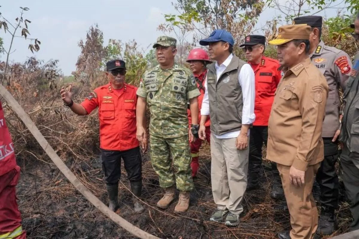 Kemenhut Tetapkan Dua Tersangka Pembakaran Hutan di Jabung Barat