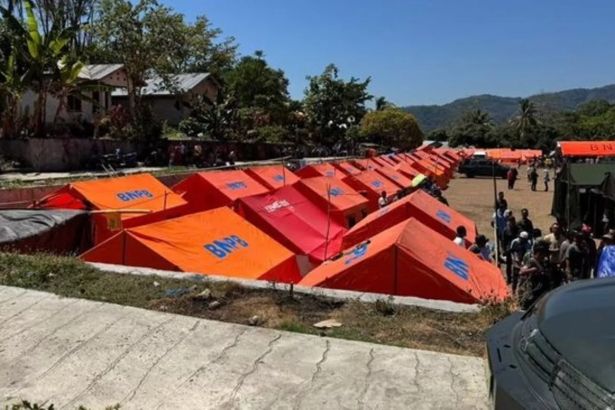Aktivitas Gempa Susulan di NTT Mulai Meluruh Sebut Pihak dari BMKG
