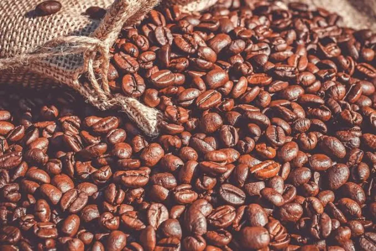 Sumbang 7 Persen Kopi Dunia, KemenUMKM Targetkan Naik ke 10 Persen